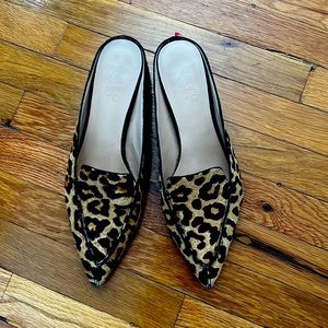 Franco Sarto leopard mules.